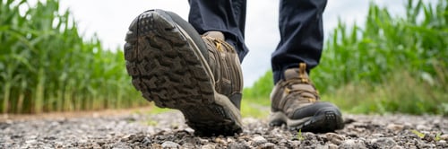 Preview: Walking on a gravel path