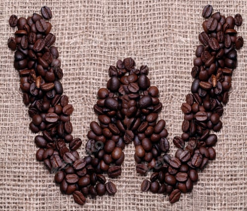 Vista previa: Este último a partir de granos de café