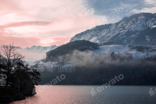 Preview: nature