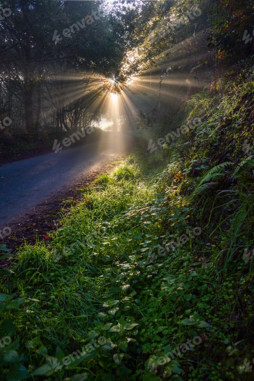 Preview: Sun rays break the fog on a mountain road in Courel