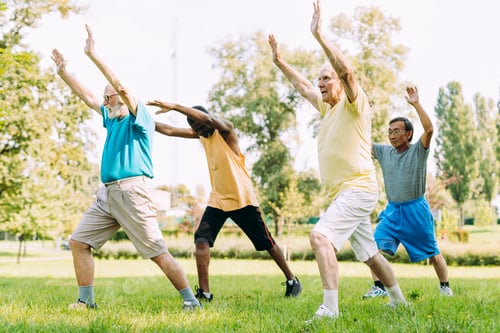 Preview: group of senior friends training at the park