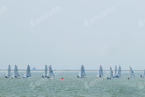 Preview: Group of sailboats gliding across calm waters during a regatta under a clear sky.
