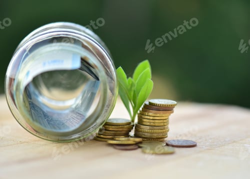 Preview: Saving Money for Growth, Jar with Plant