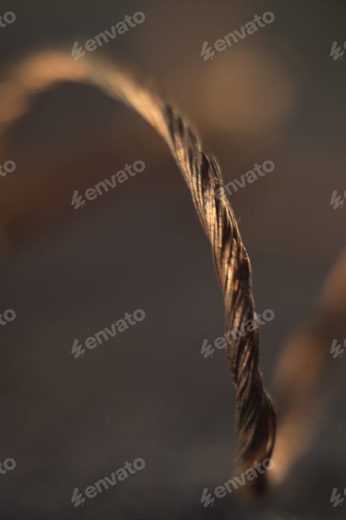 Preview: Vertical shot of a bare copper wire on a dark background