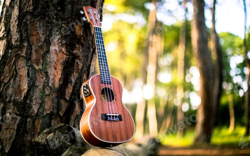 Ukulele Leaning on Tree in Forest
