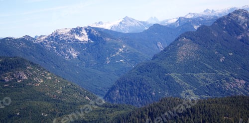 Preview: Mountain Forest2