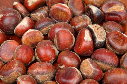 Preview: chestnut