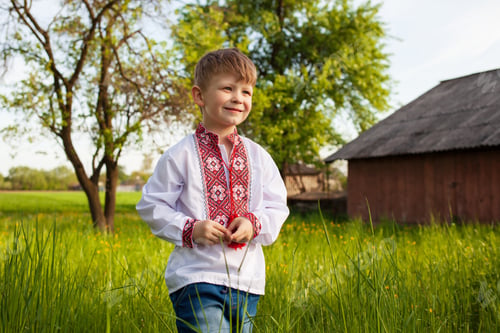 Preview: Boy knows how to spend carefree happy childhood. Kids being kids.