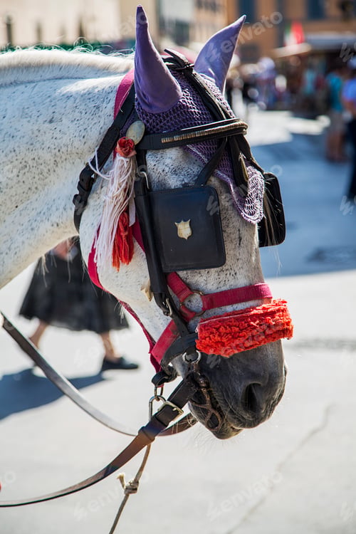 Preview: Horse