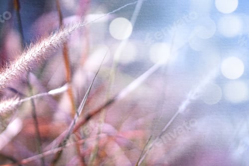 Preview: Weed Flowers In Vintage Color Style On Mulberry Paper Texture For Background