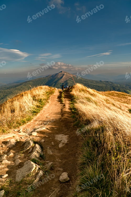 Preview: Polonina Wetlinska, Bieszczady mountain, Bieszczady National Park, Poland.