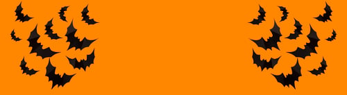 Preview: Banner of Halloween photo of black bats, ghost on blank orange background. Halloween decoration