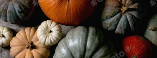 Preview: Colorful pumpkins collection on linen tablecloth. Flat lay
