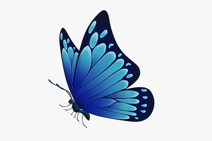Preview: Dark Blue Winged Butterfly
