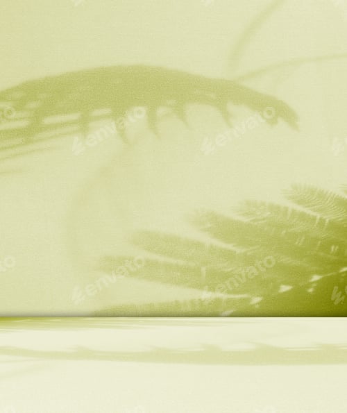 Preview: Background green shadow floor studio