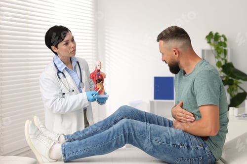Preview: Gastroenterologist showing intestine in human anatomy mannequin to patient at clinic