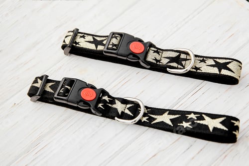 Preview: Stylish, bright and comfortable collar from pet shop for obedient dog, cat or other pets and domesti