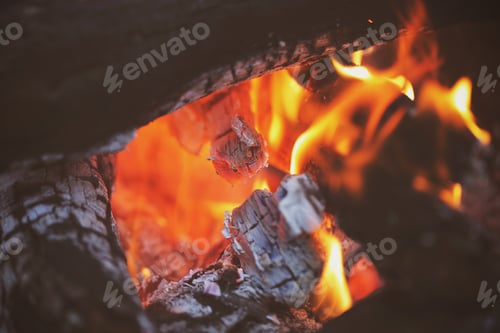 Preview: Fire Burns In The Forest On Vacation