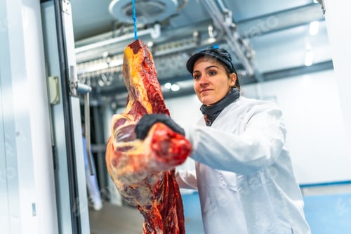Preview: Woman unloading a truck in a meat factory
