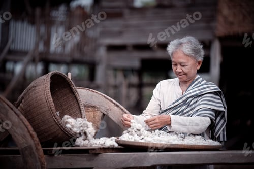 Preview: Happy Elderly woman working with cotton. She is wearing traditional clothing, including a striped sh