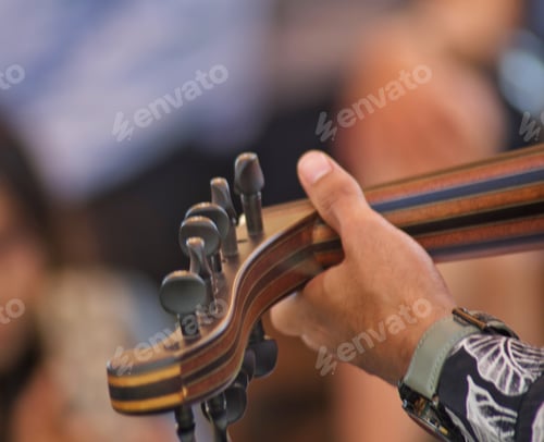 Preview: Unrecognizable musician from behind plays an exotic Middle East oud guitar like instrument