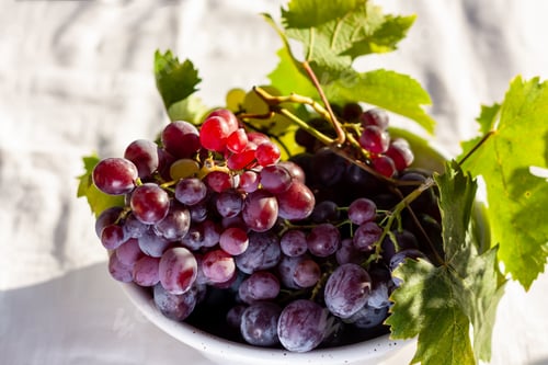 Preview: Ripe pink grapes in a white bowl on white table in the garden in the sunny day. Selective focus.
