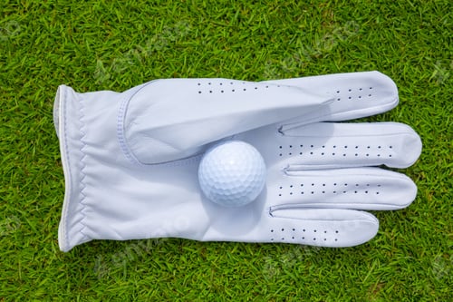 Preview: High angle closeup of a golf ball in a glove on the lawn under the sunlight
