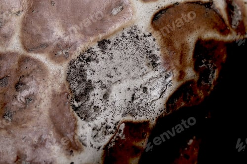 Preview: Stone Textured Bright Background Image