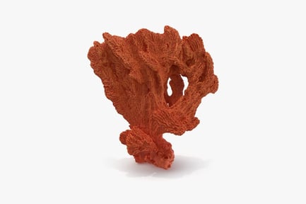 Preview: Branching Orange Tree Sponge