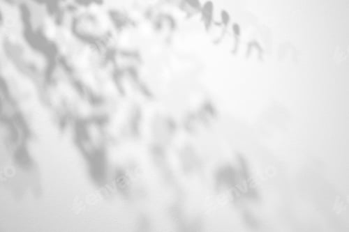 Preview: Light and shadow natural leaves overlay effect on white concrete texture