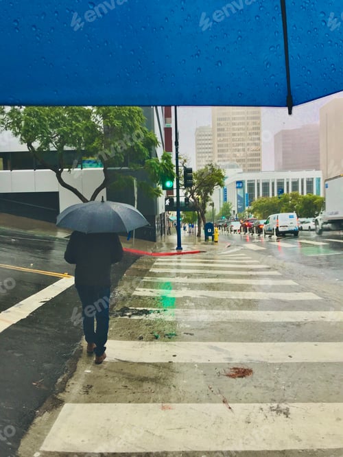 Preview: A man is walking in the city in the rain holding an umbrella and going through a crosswalk on a
