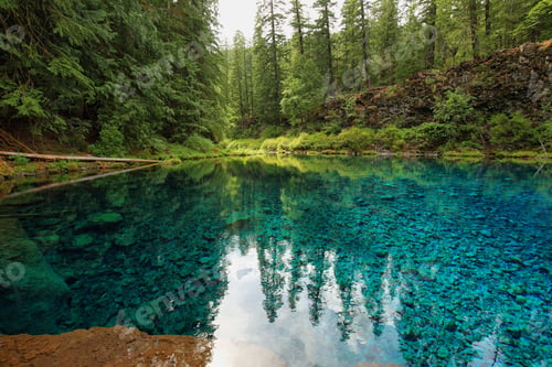 Preview: Clear Blue Tamolitch pool