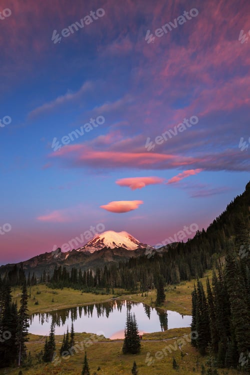 Preview: Mt Rainier
