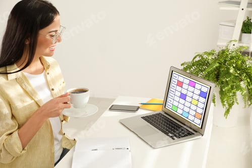 Preview: Young woman using calendar app on laptop in office