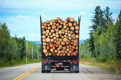 Vista previa: Back view of a big logging truck hauling a full load of logs down the highway.