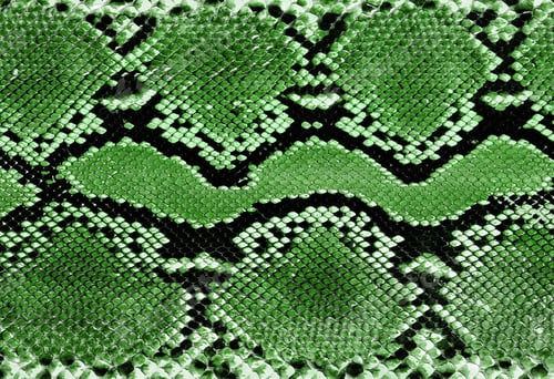 Preview: crocodile skin
