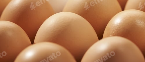 Preview: Close-up of brown eggs background