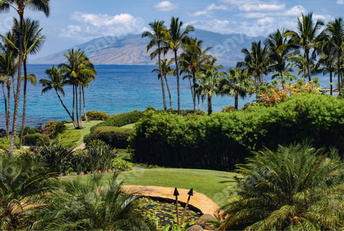 Preview: Maui - Hawaii - United States