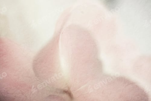 Preview: Classic Roses In Soft Color Style On Mulberry Paper Texture For Background