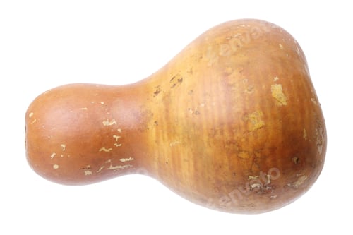 Preview: Chinese Gourd