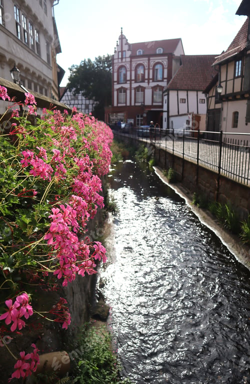 Preview: the river channel, the fence of which is decorated with flowers and half-timbered houses
