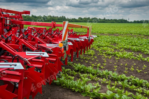 Preview: A multi-row disc harrow with loosening knives for tractors