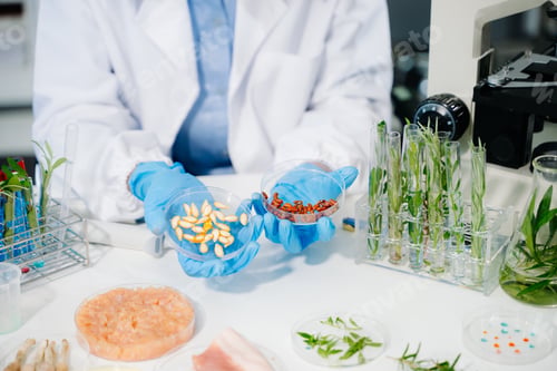 Preview: Food science as lab scientists test and analyze vegetables for safety and quality using advanced
