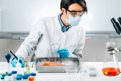 Preview: Food Safety Inspector Measuring Concentrations of Lead, Mercury and Cadmium in Sea Fish