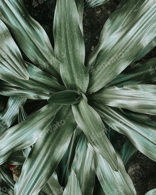 Preview: Textures