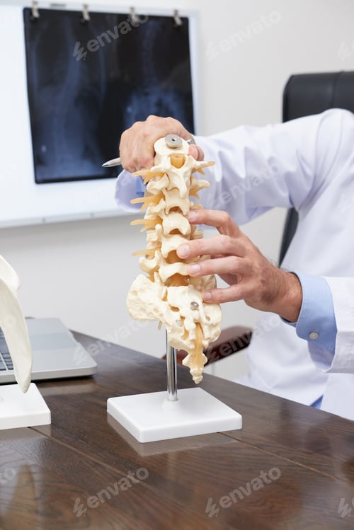 Preview: Spine model