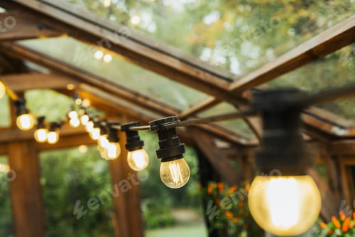 Preview: Warm glow string lights illuminate wooden greenhouse structure with green foliage background.