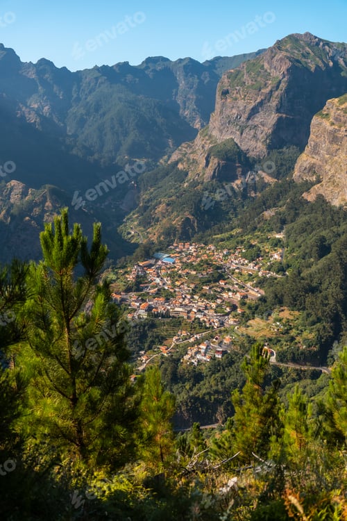 Preview: Vegetation from the Eira do Serrado viewpoint, Curral das Freiras, Madeira. Portugal
