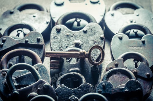 Preview: One key and many padlocks as concept image