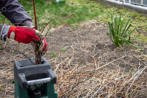 Preview: Work in the garden. Man cutting and crushing branches of trees and berry bushes. Selective focus